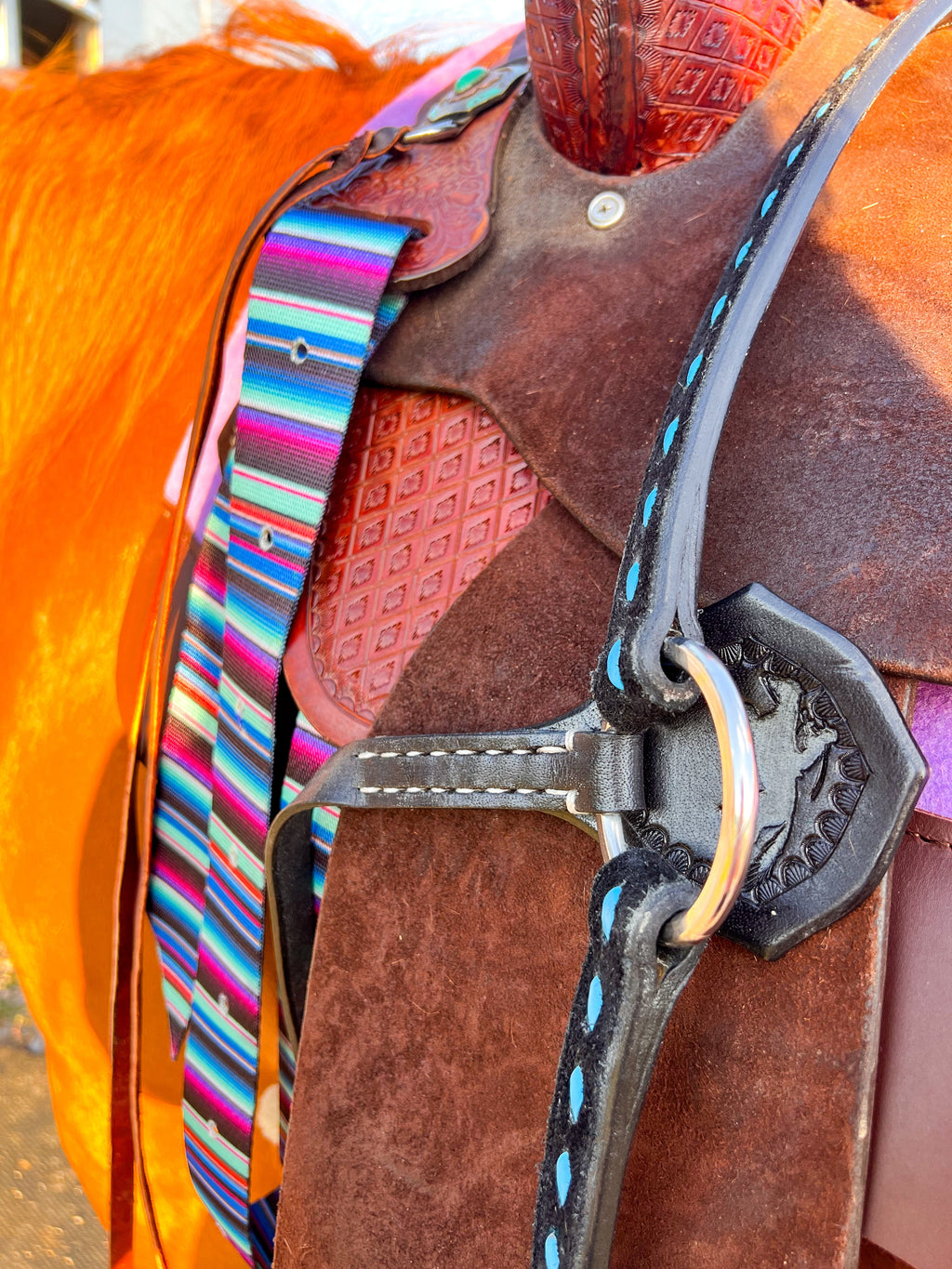 BuckStitch Betty Tack Set Turquoise/Black