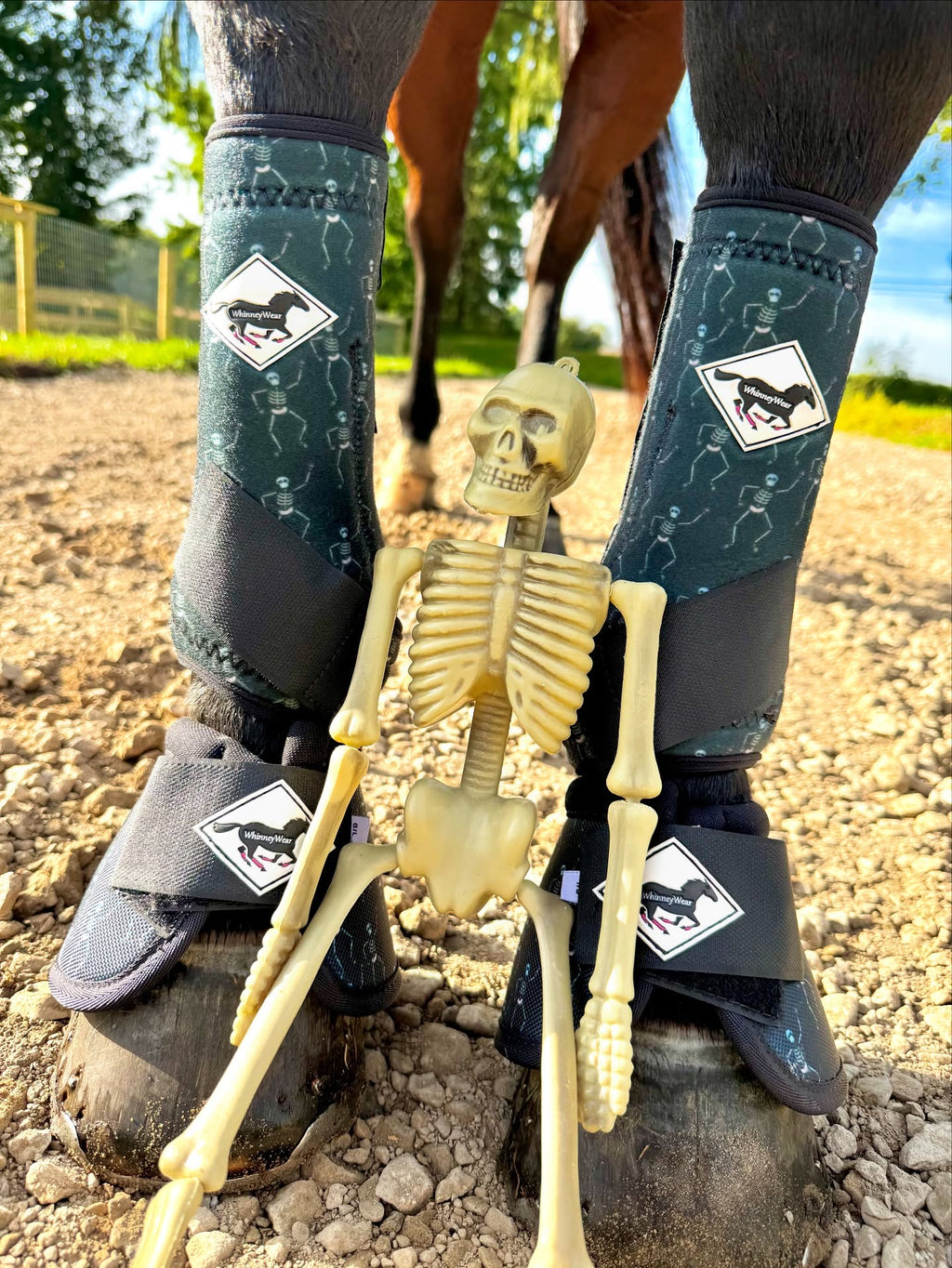 October Limited Edition Print: Bones Protective Sport Boots