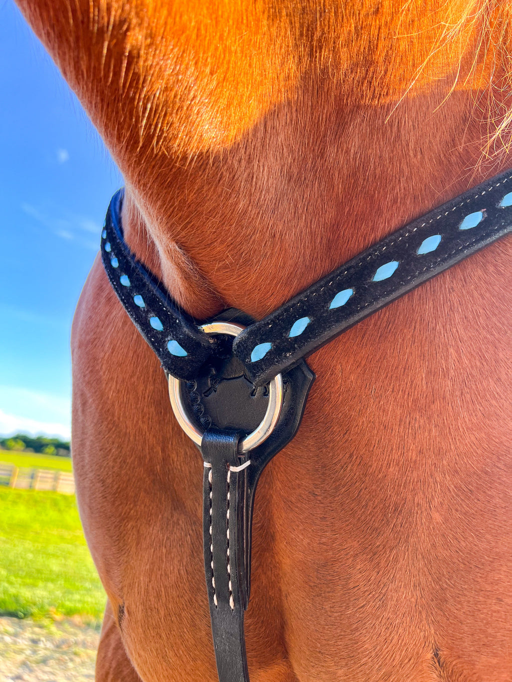 BuckStitch Betty Tack Set Turquoise/Black