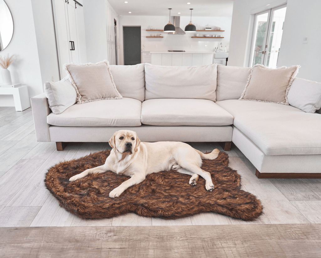 PupRug by Paw.com® Faux Fur Orthopedic Dog Bed - Curve Brown