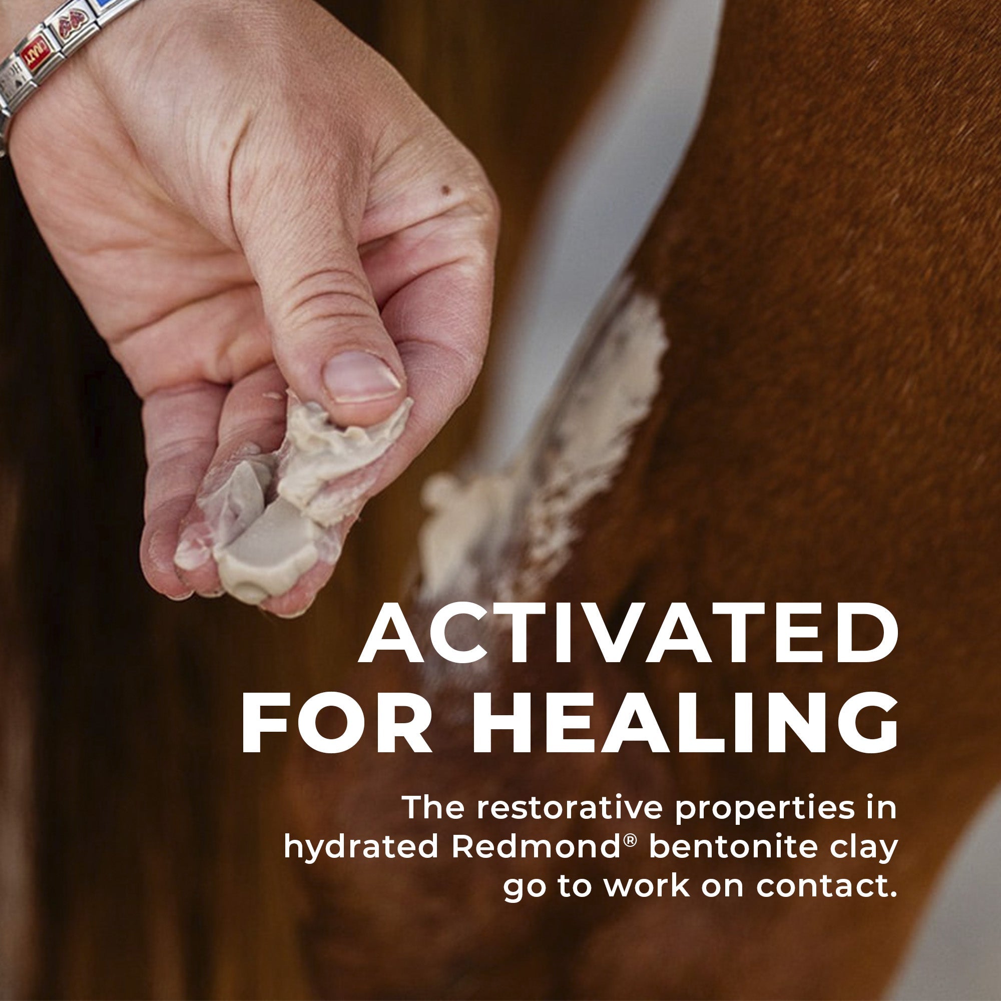 Simply Clay Salve – Bentonite Clay Horse Wound Care