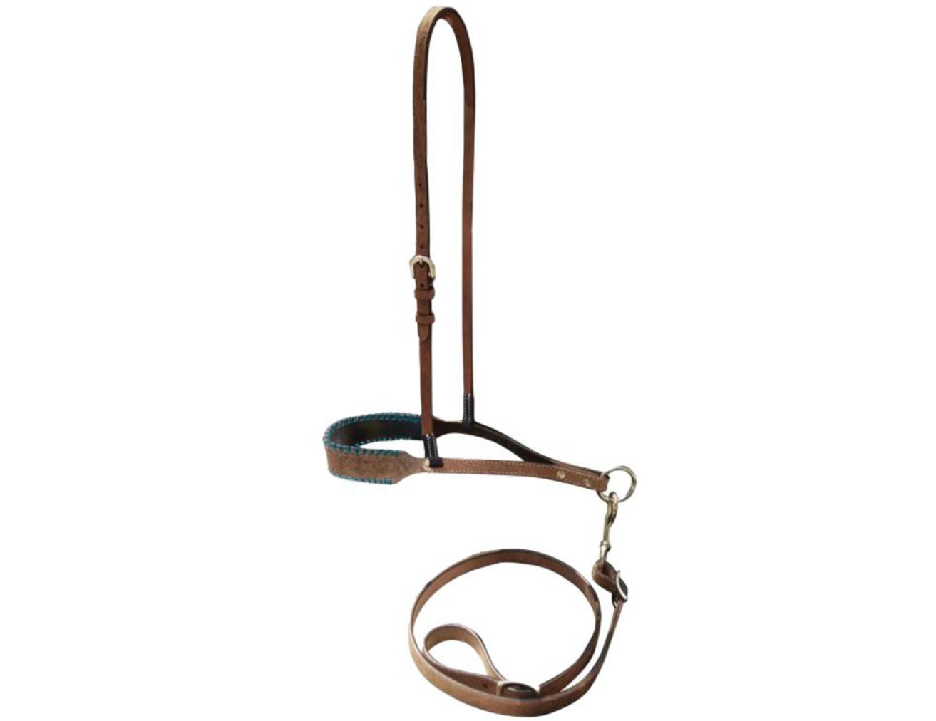 Leather noseband and tiedown with black rawhide lacing on nose