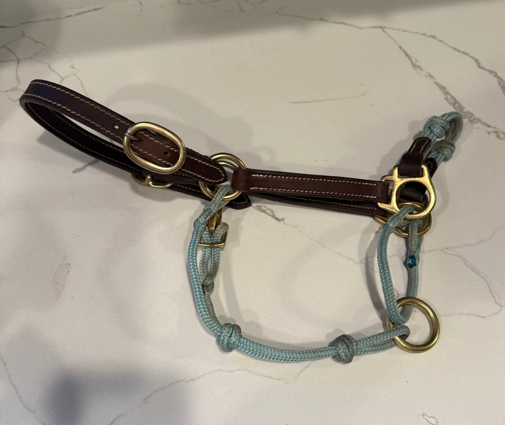 ***USED***The Horse Education Company Weanling Halter