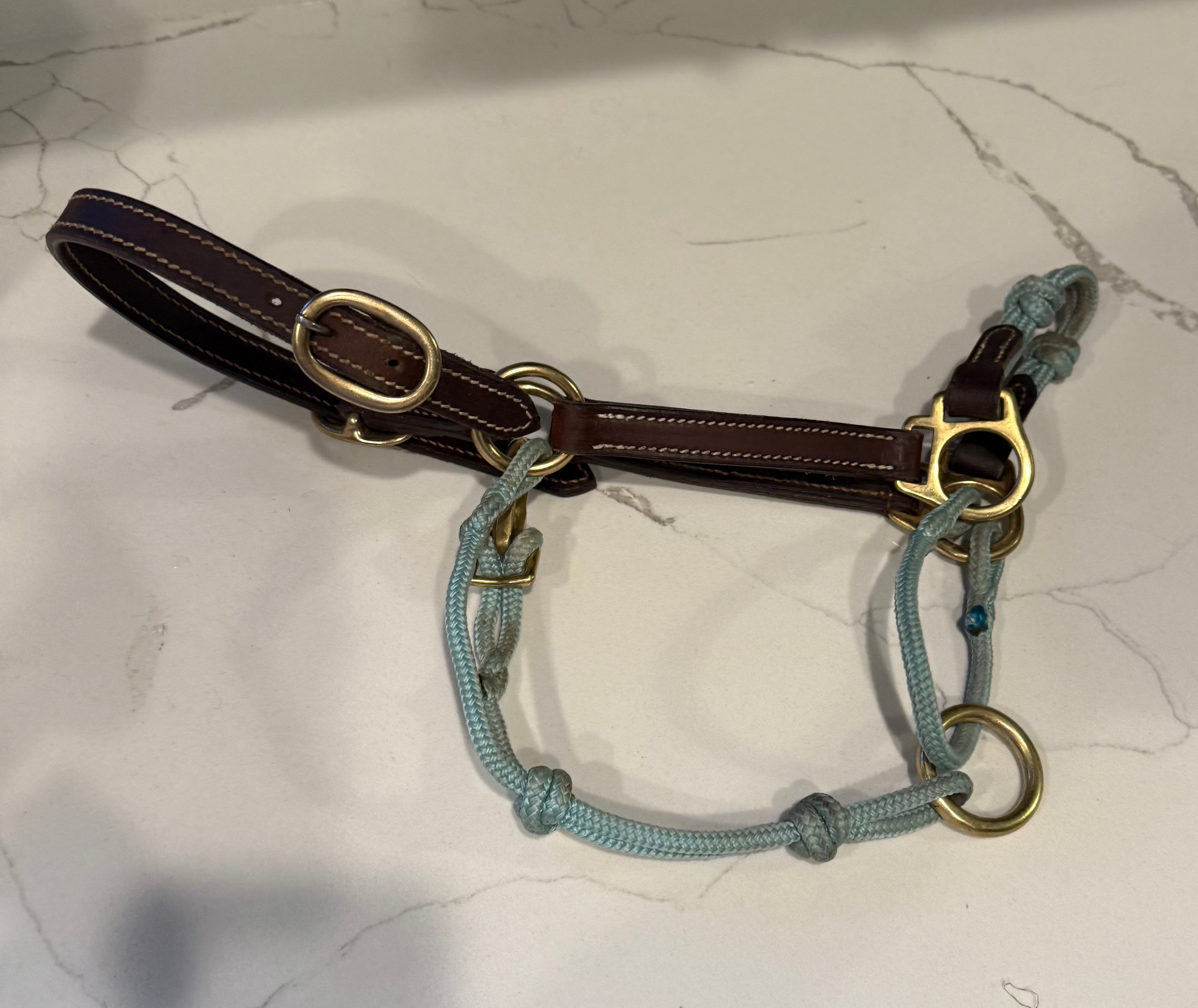 ***USED***The Horse Education Company Weanling Halter