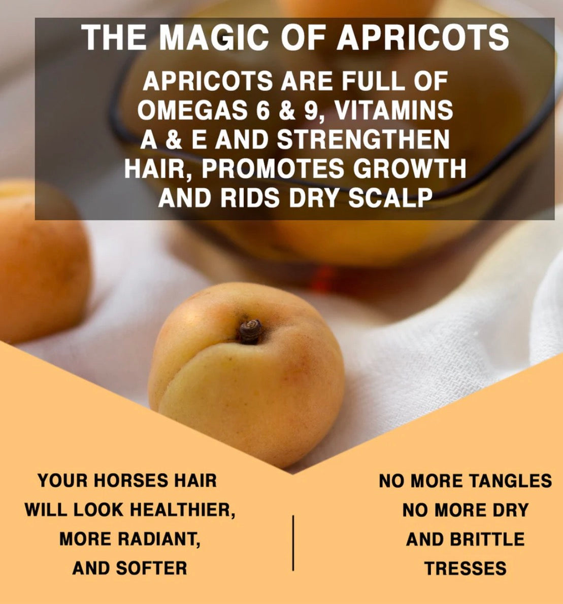 Apricot Oil Detangling Treatment- 12 oz.