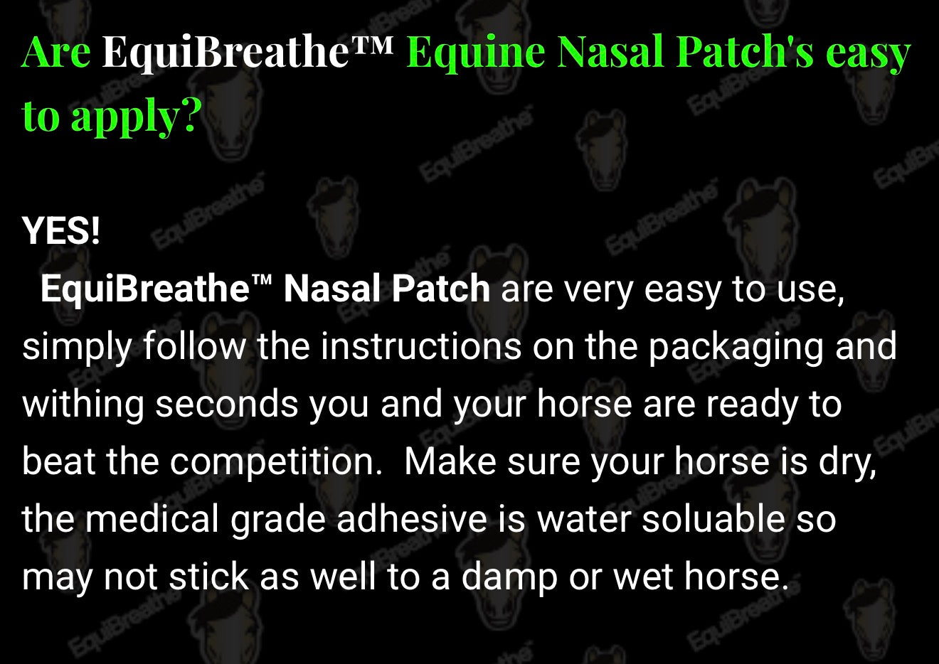 EquiBreathe™ Equine Nasal Patch -Vegas