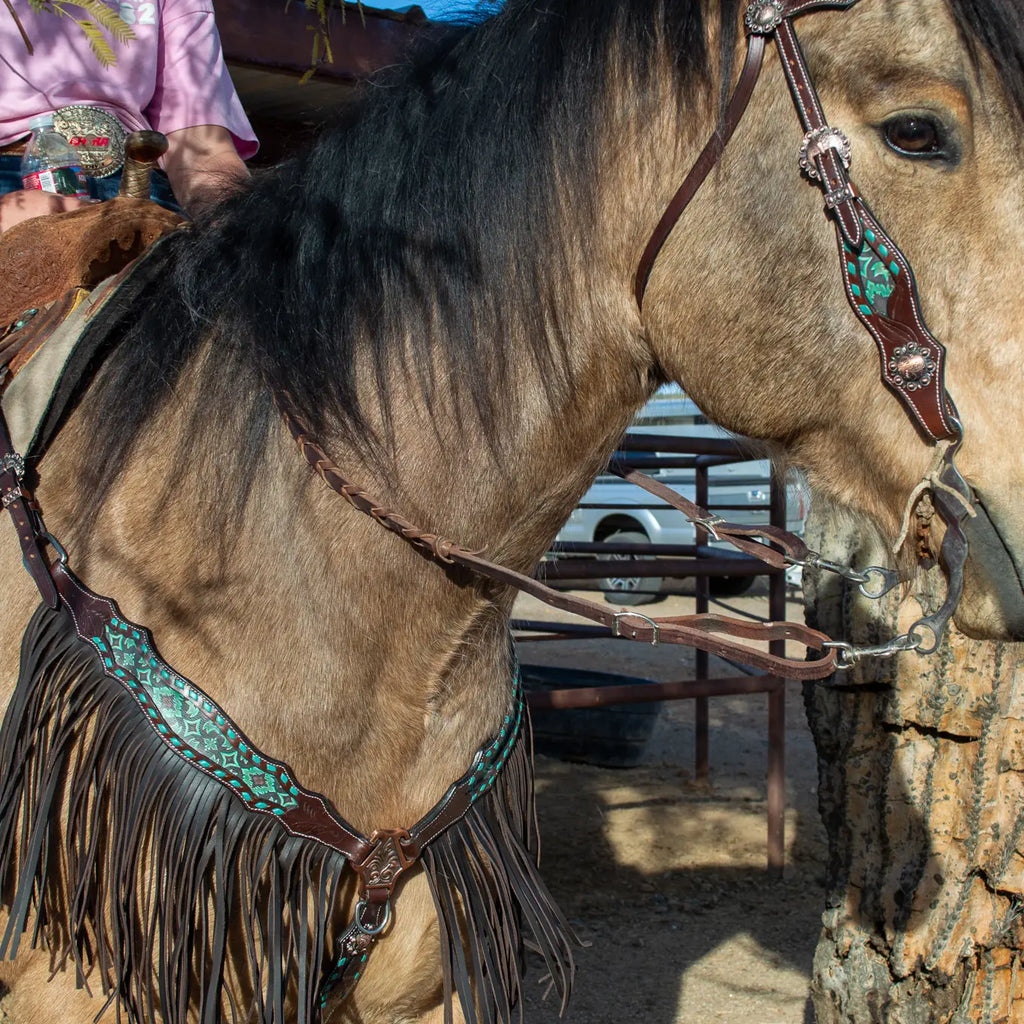 Dalton Fringe Headstall and Breast Collar Set