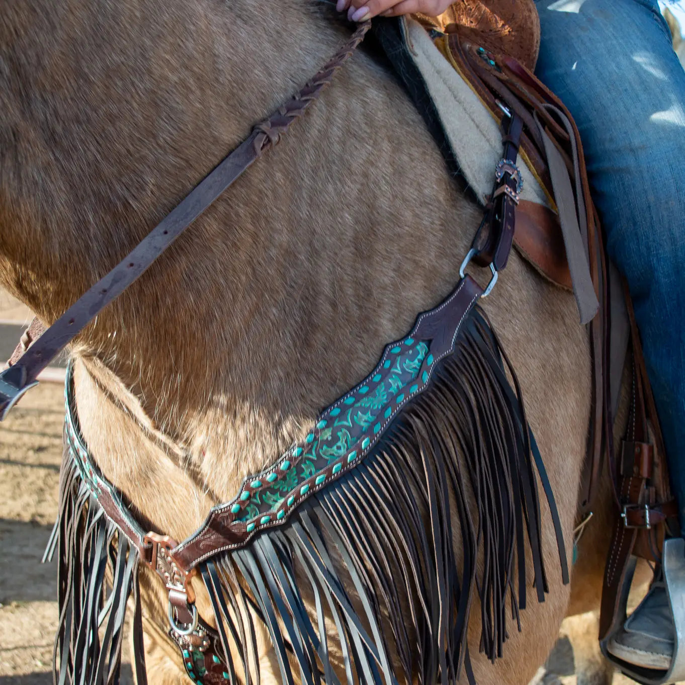 Dalton Fringe Headstall and Breast Collar Set