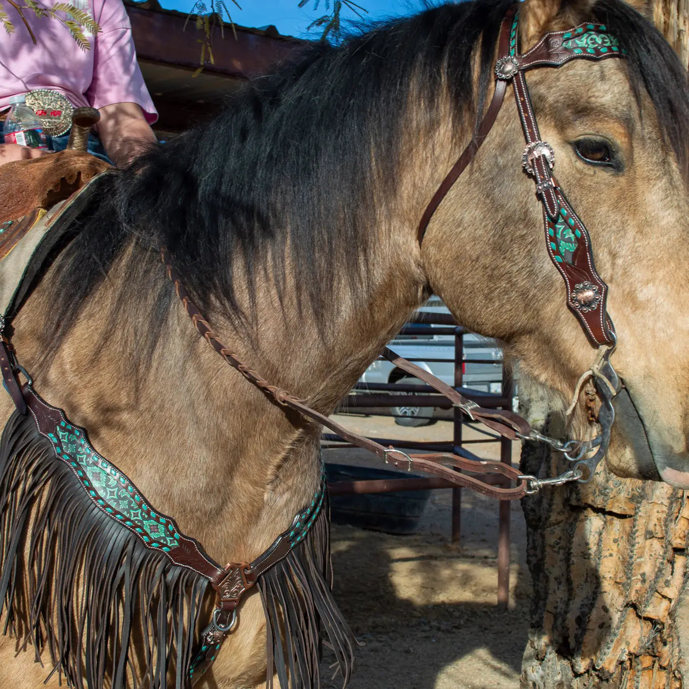 Dalton Fringe Headstall and Breast Collar Set