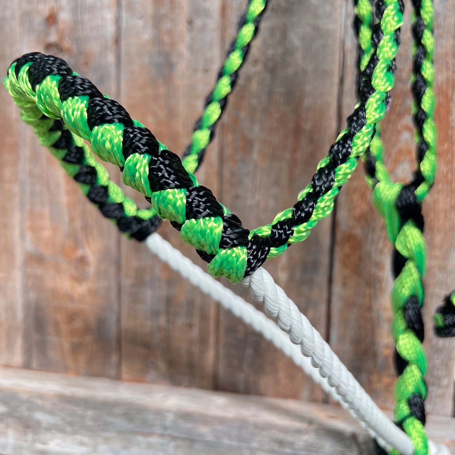 Rodeo Drive Green and Black Lariat Noseband Mule Tape Halter