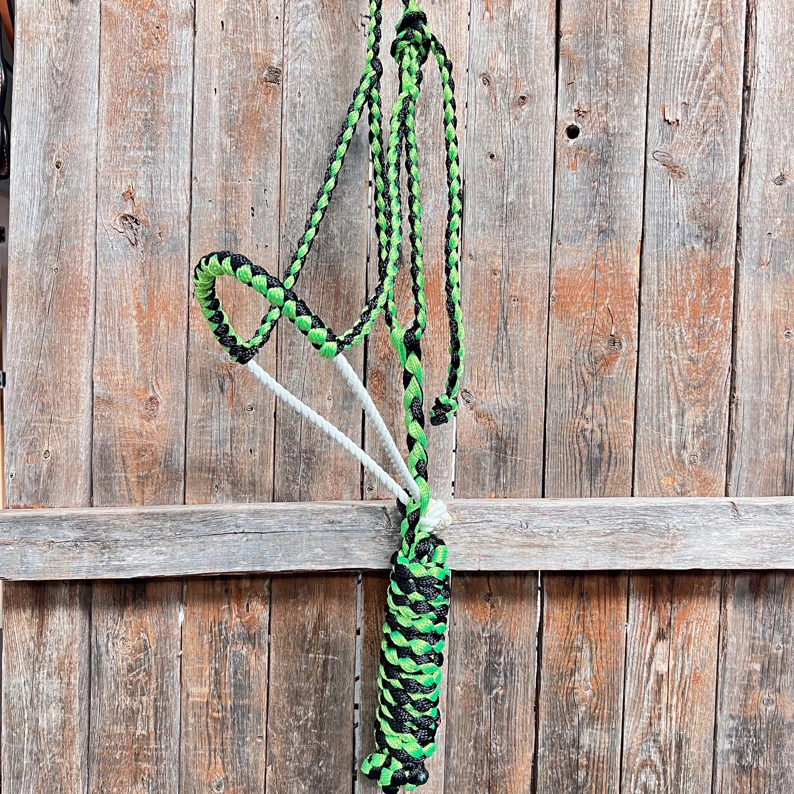 Rodeo Drive Green and Black Lariat Noseband Mule Tape Halter