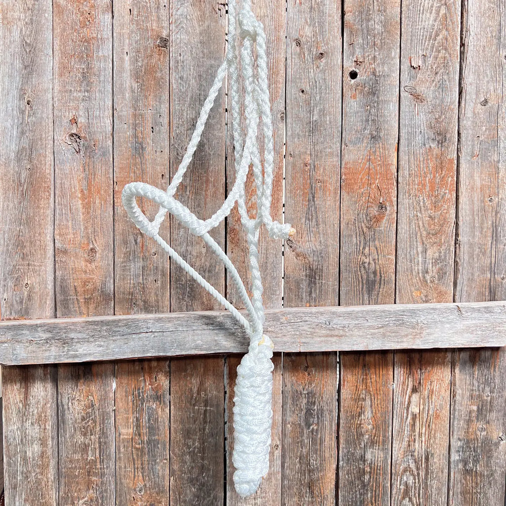 Rodeo Drive White Lariat Noseband Mule Tape Halter