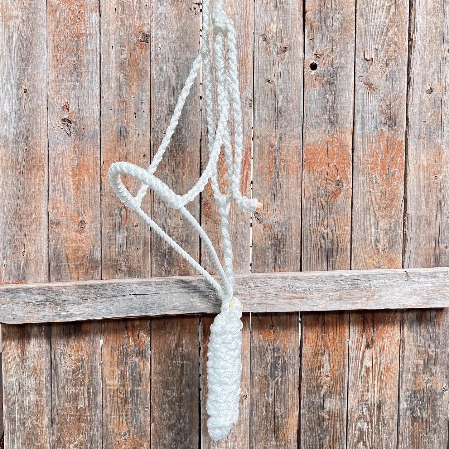 Rodeo Drive White Lariat Noseband Mule Tape Halter