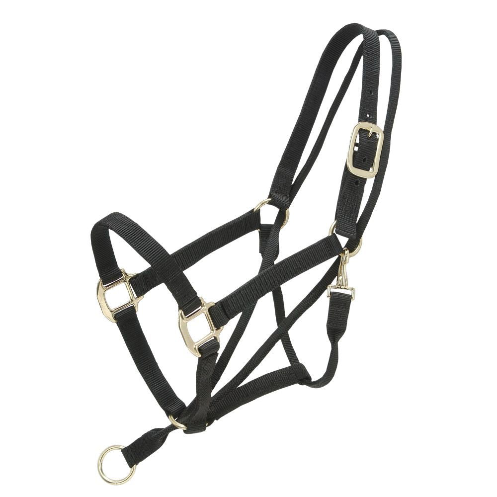 Pull Back Halter