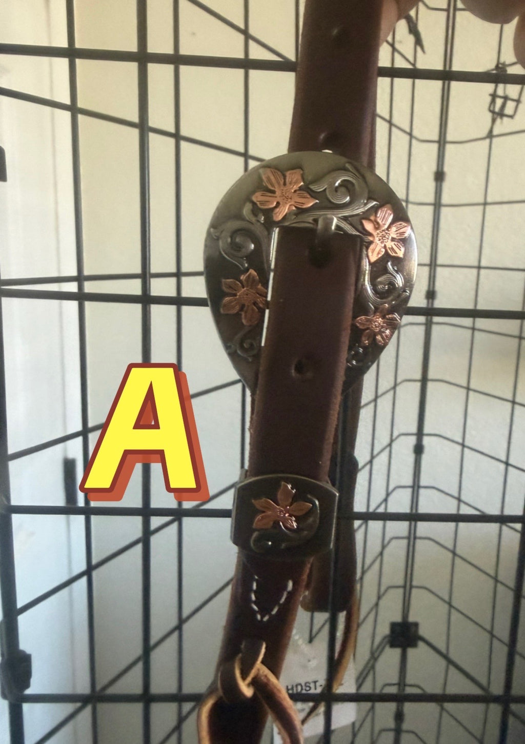 Single Ear Buckle Choice