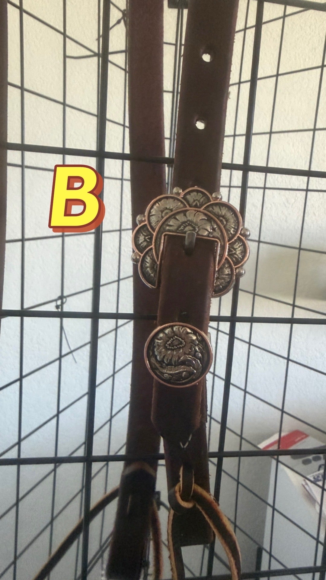 Single Ear Buckle Choice