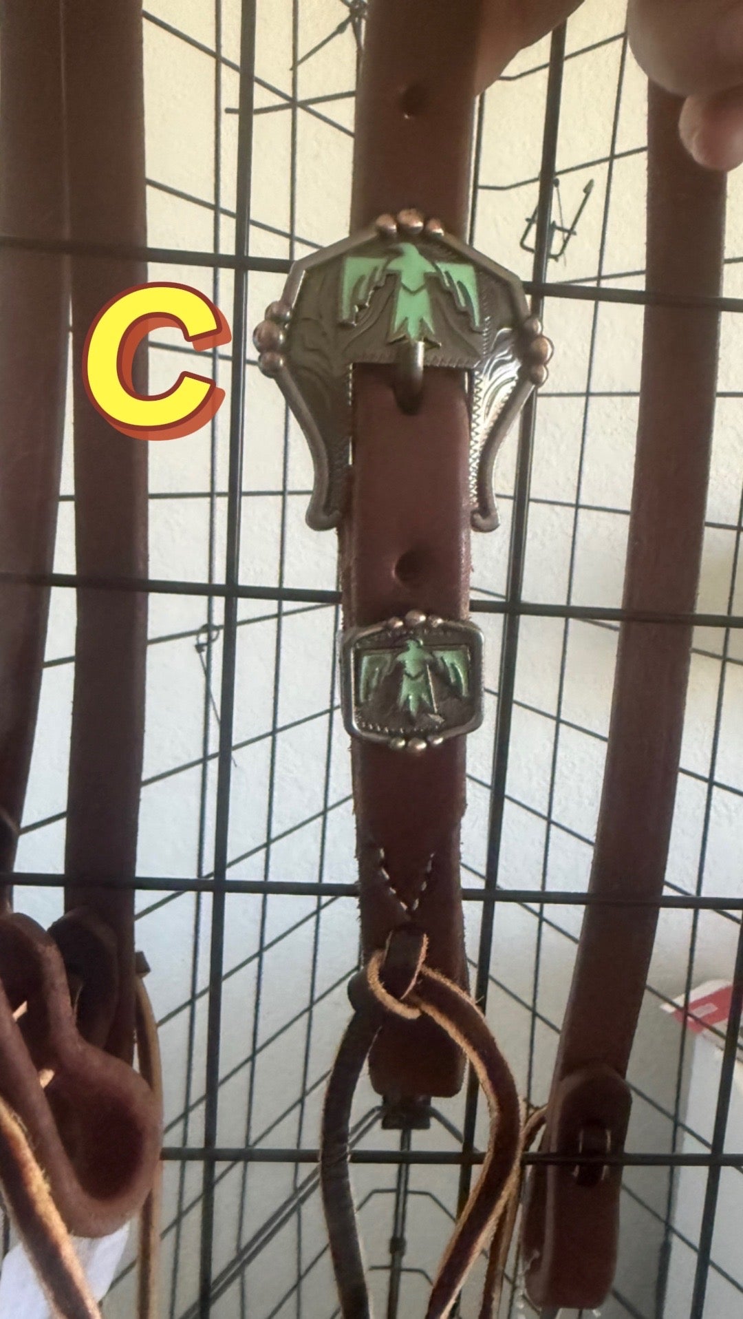 Single Ear Buckle Choice