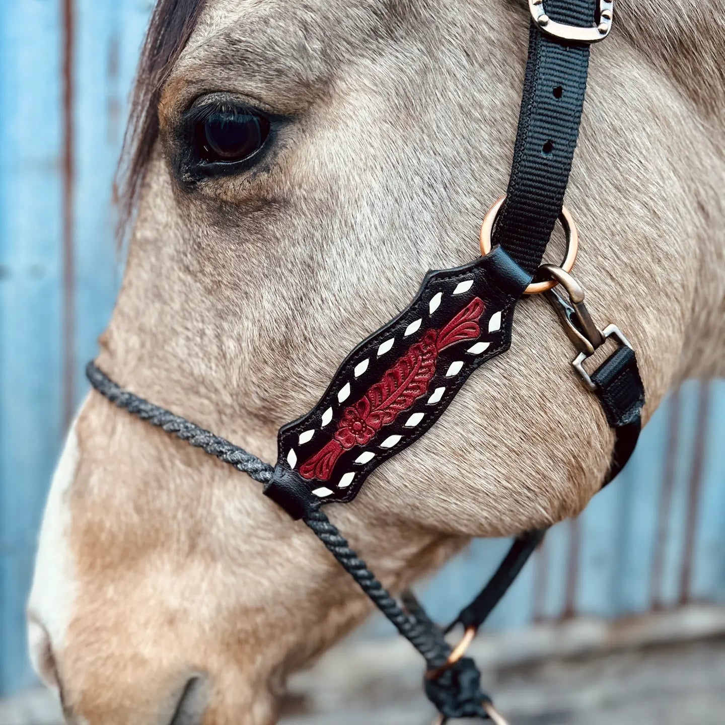 Lariat Halter Buck Stitch