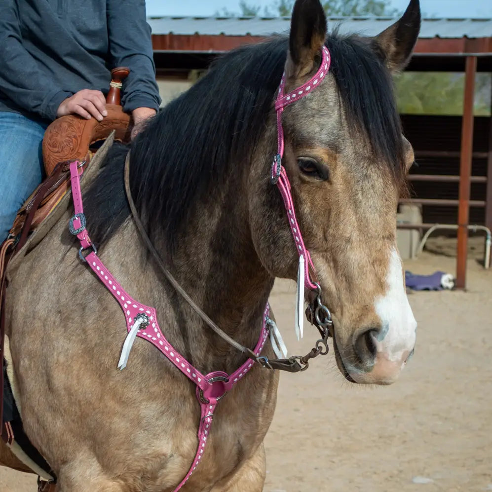 Pink Leather Headstall and Breast Collar Set