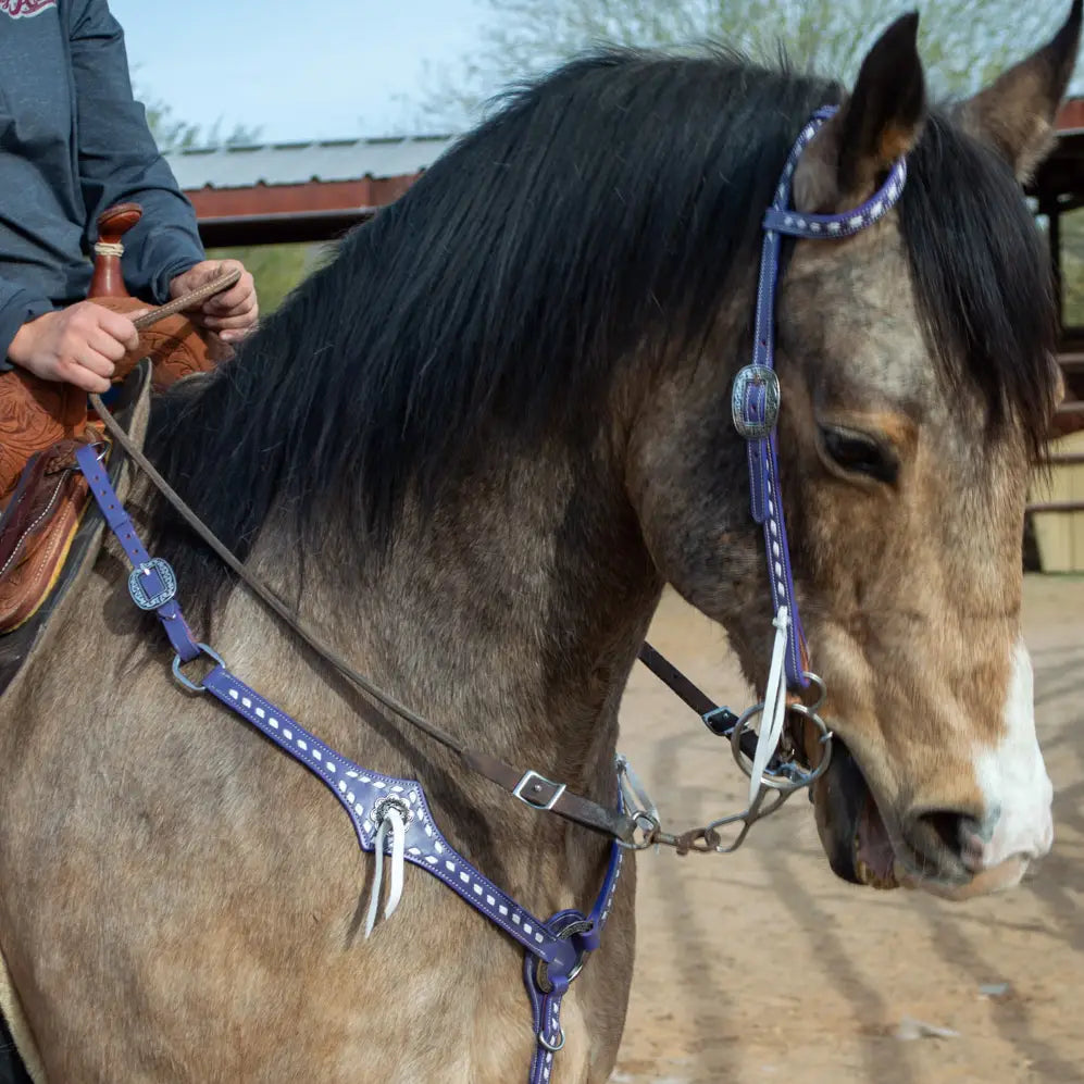 Purple Leather Headstall and Breast Collar Set