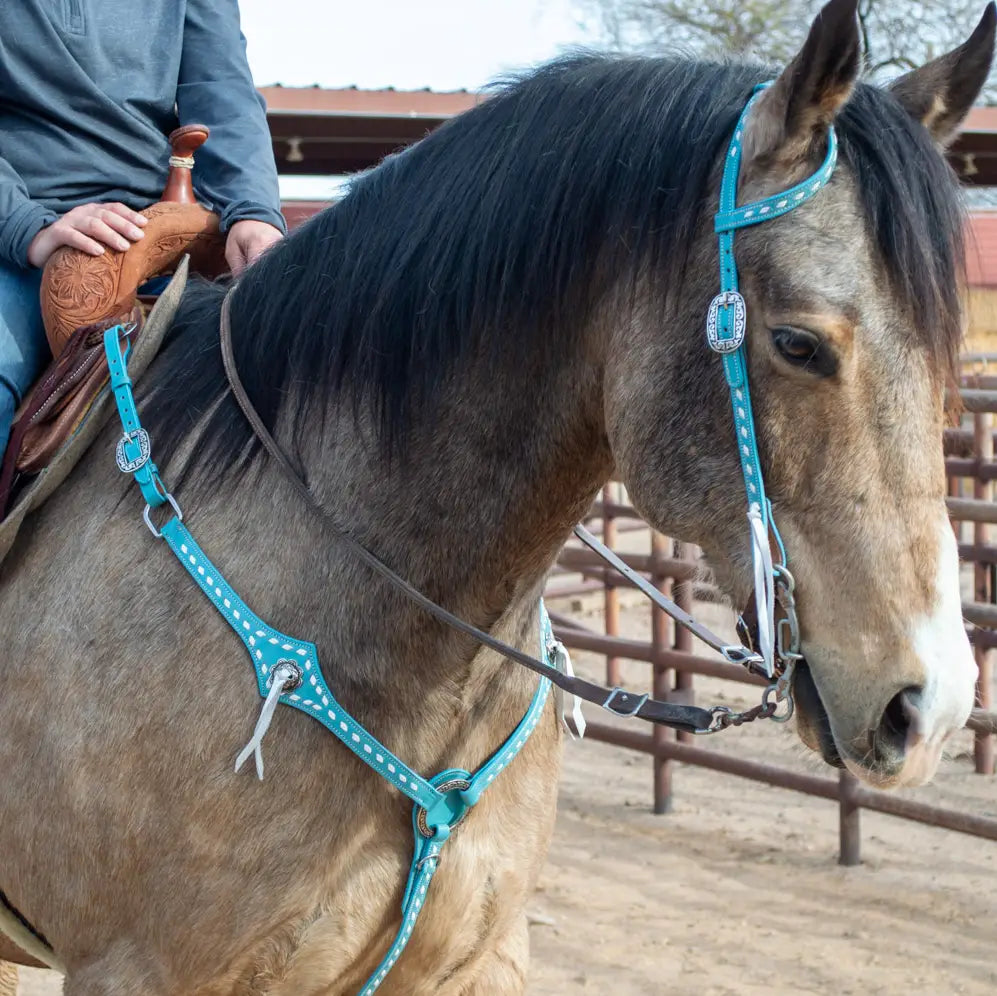 Turquoise Leather Headstall and Breast Collar Set