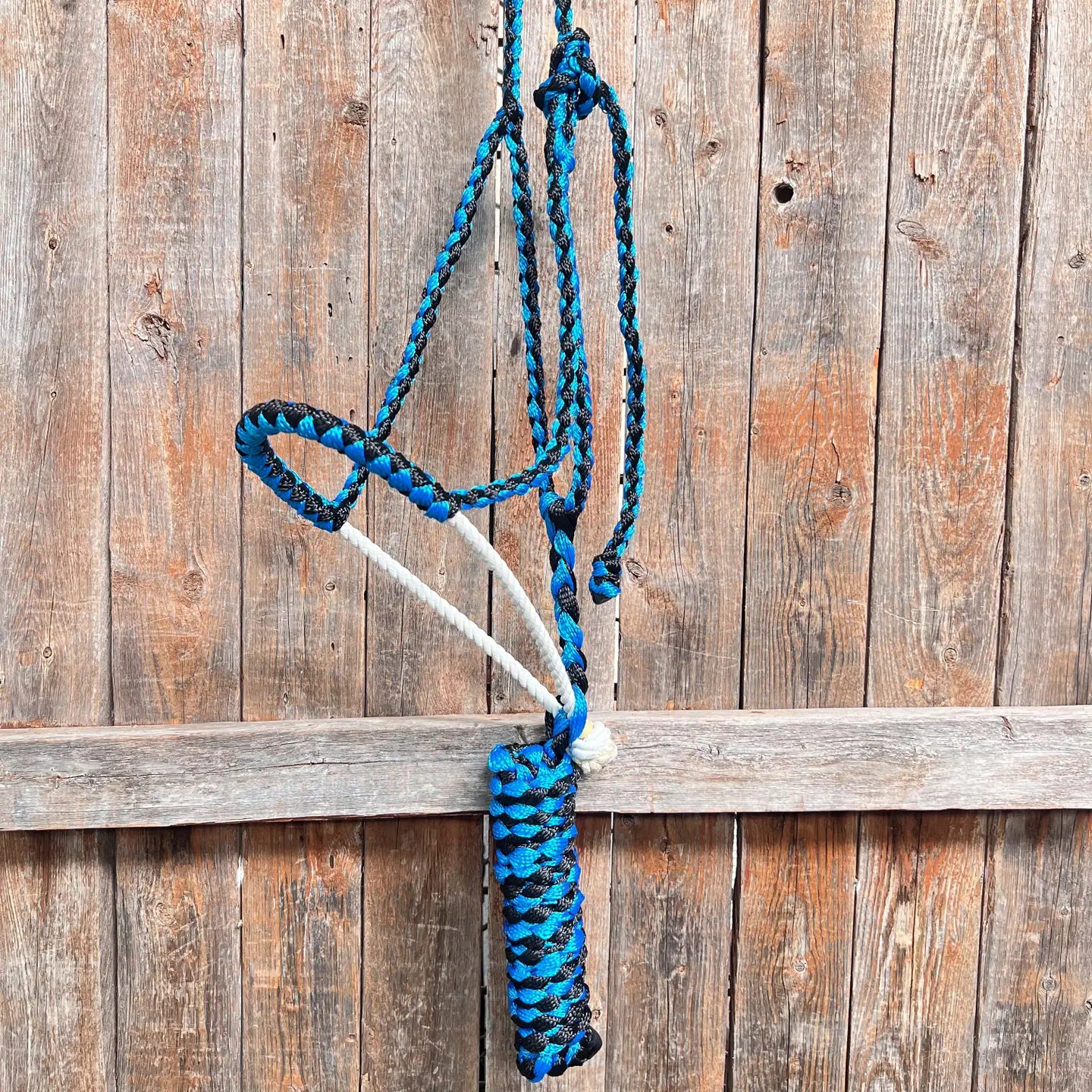 Rodeo Drive Blue and Black Lariat Noseband Mule Tape Halter