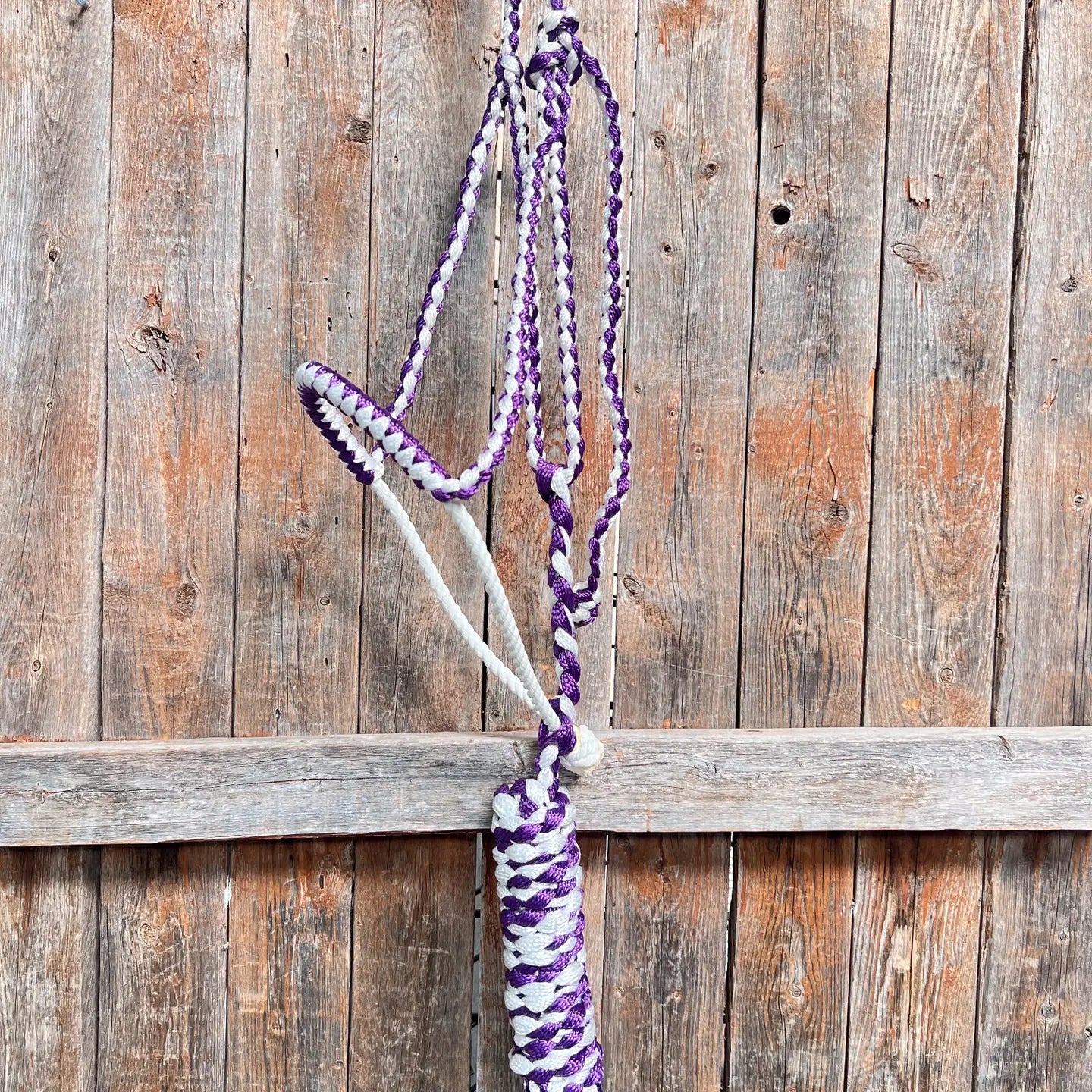 Rodeo Drive Purple and White Lariat Noseband Mule Tape Halter