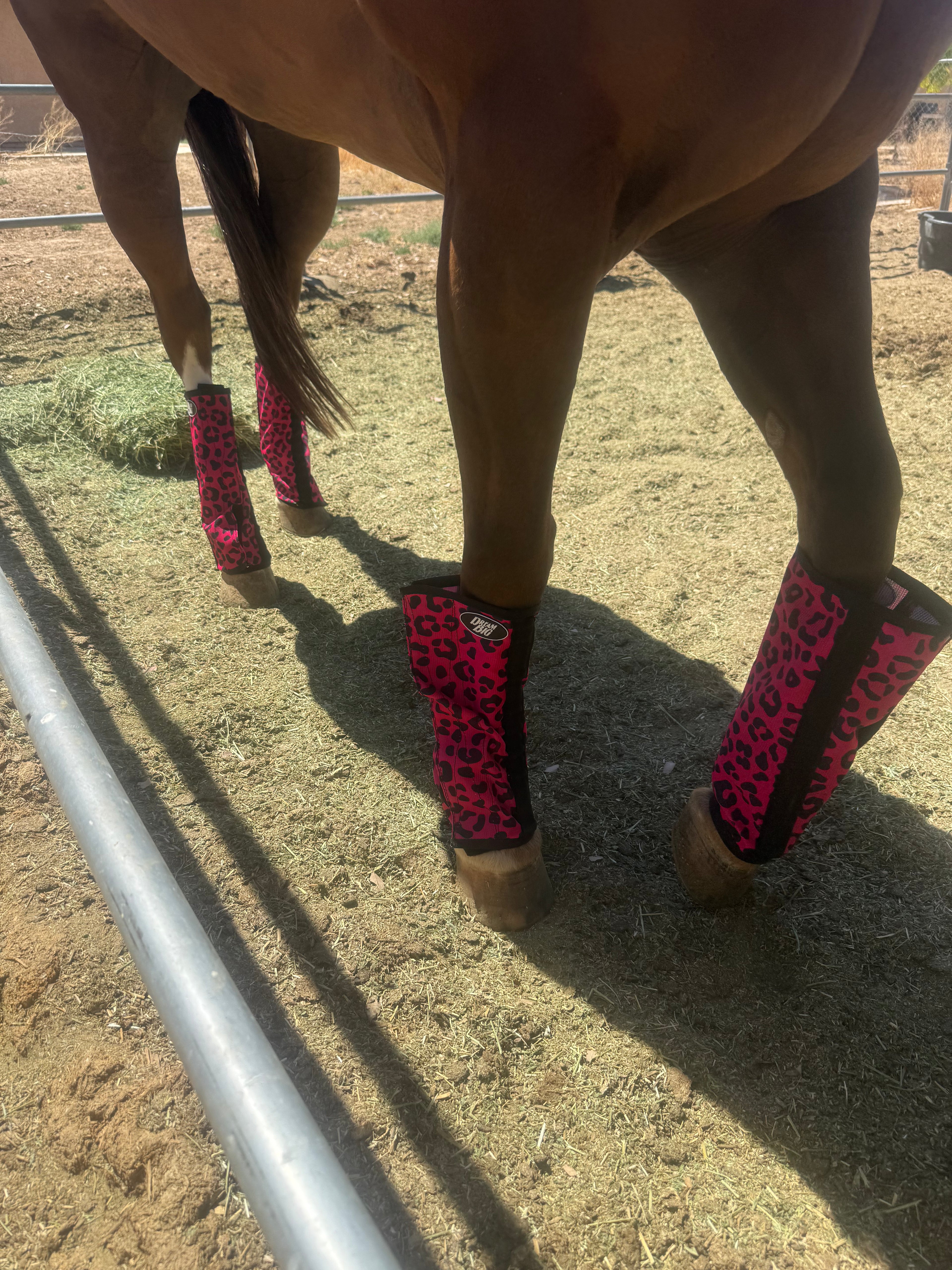Cheetah Fly Boots