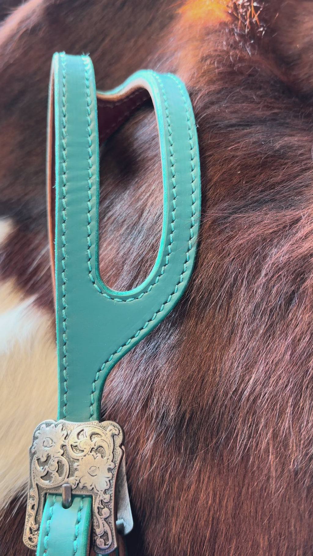 Knotty Cowgirl Amber Headstall (Teal)